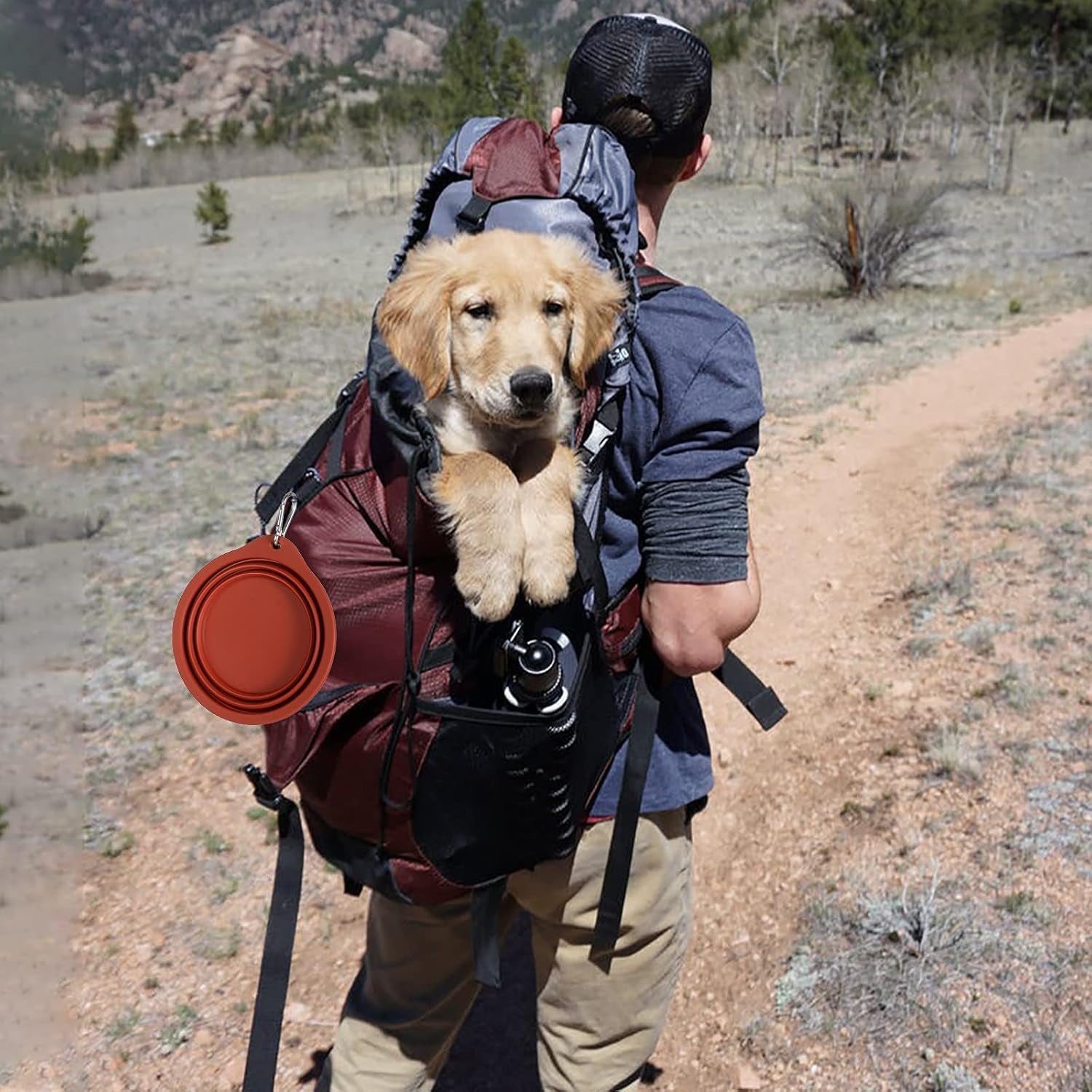 2Pack Collapsible Dog Bowl,Integrated Molding Travel Bowl No Plastic Rim Pet Feeding Bowls for Walking Traveling Outdoors,600Ml (Brown+Grey)