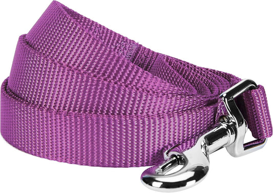 Essentials Violet Dog Leash for X-Small -5' * 3/8" Dogs | Heavy Duty Nylon Lead | Lightweight Puppy & Cat Leash for Walking & Training